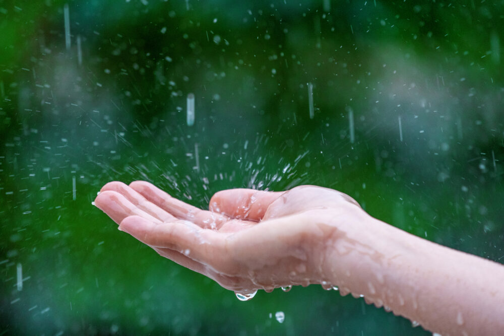 雨風からの防御 