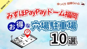 みずほpaypayドーム 駐車券 駐車場予約券
