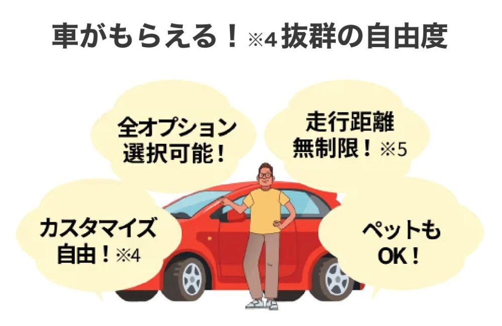 カルモくんオプション豊富