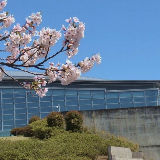 横浜国際プール