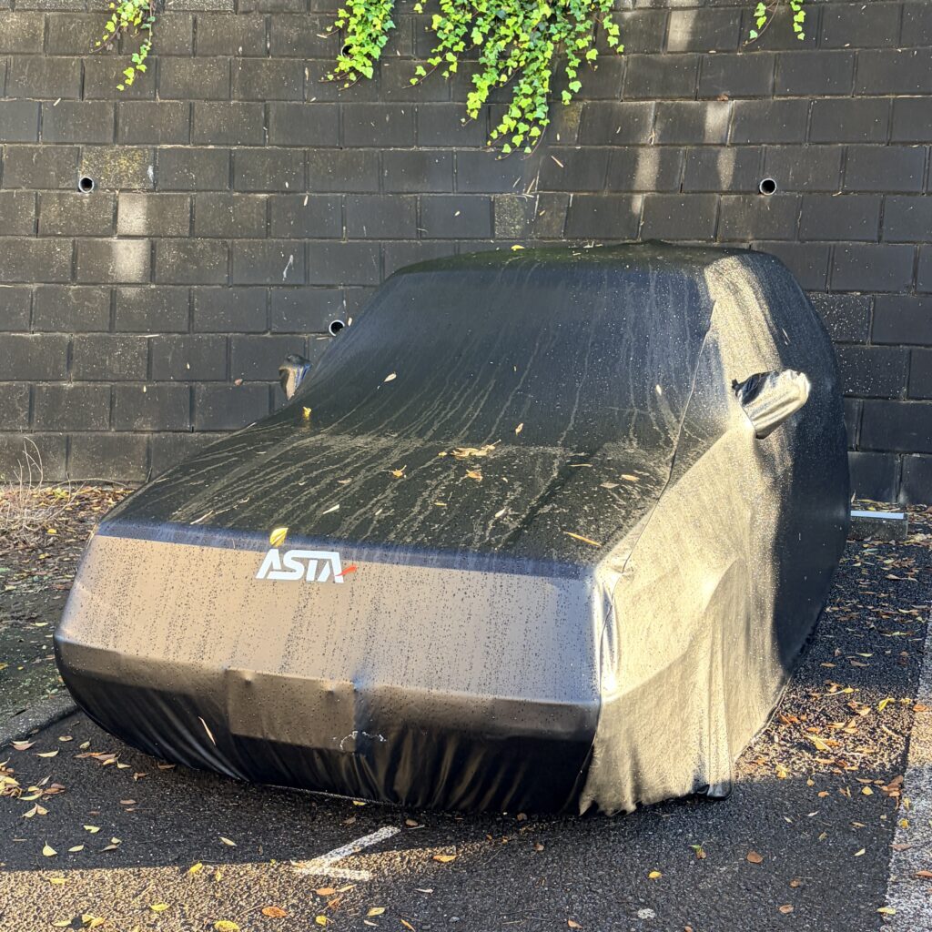 カークラブカバー雨上がりの様子