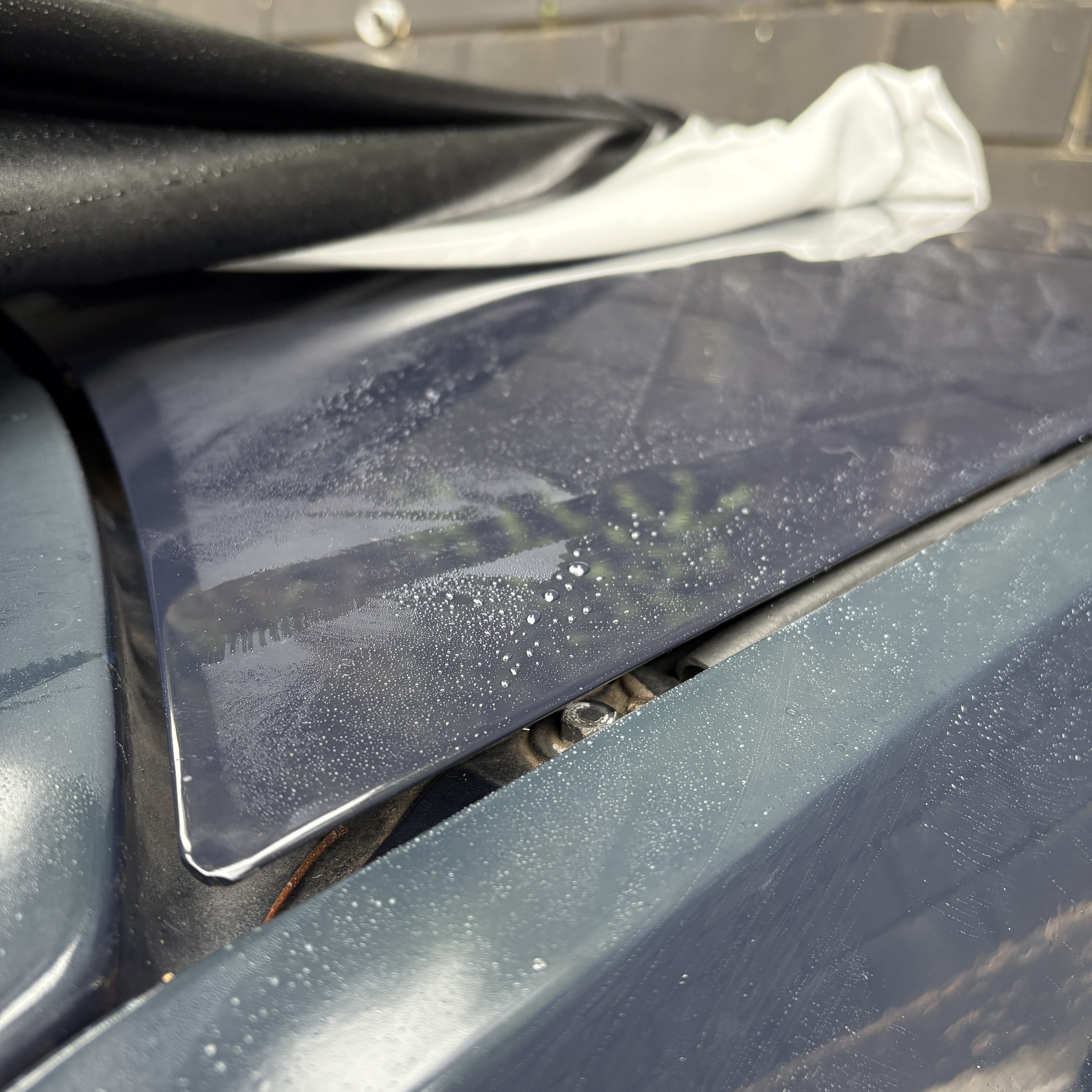 カークラブカバー雨上がりの様子