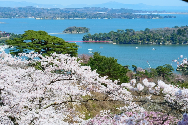 四季 春休みの海