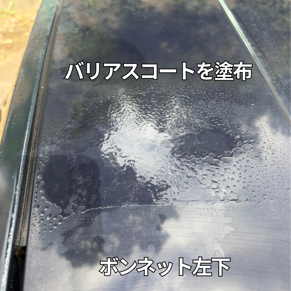 画像：バリアスコート
