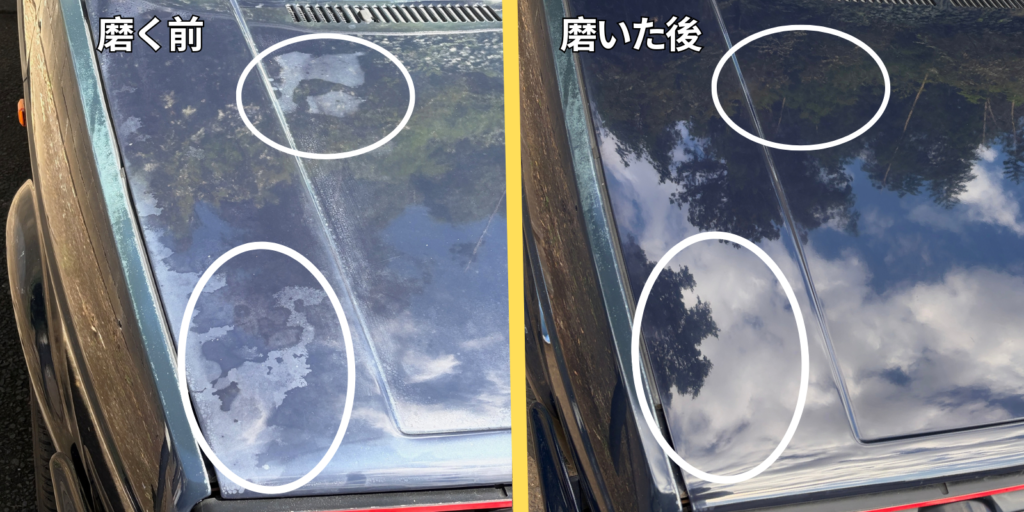 画像：磨いた後比べ